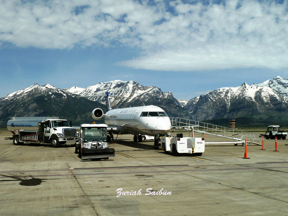Shuttle From Jackson Hole Airport To Yellowstone National Park mytrip.co.id